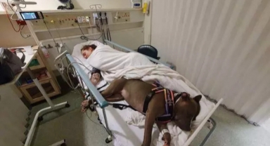 Loyal dog refuses to leave moms side after saving her life