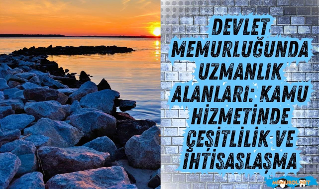 Devlet Memurluğunda Uzmanlık Alanları: Kamu Hizmetinde Çeşitlilik ve İhtisaslaşma #memurol #uzmanlıkalanları