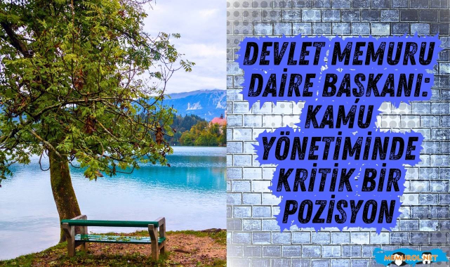 Devlet Memuru Daire Başkanı: Kamu Yönetiminde Kritik Bir Pozisyon #memurol #dairebaşkanı