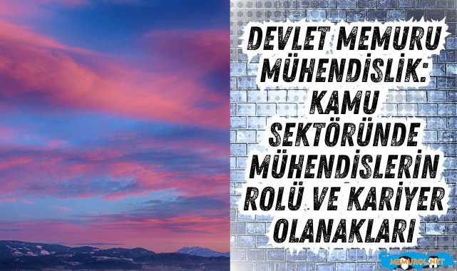 Devlet Memuru Mühendislik: Kamu Sektöründe Mühendislerin Rolü ve Kariyer Olanakları #memurol #mühendislik