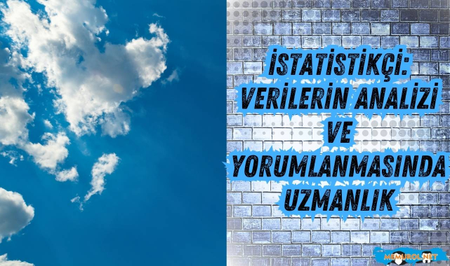 İstatistikçi: Verilerin Analizi ve Yorumlanmasında Uzmanlık