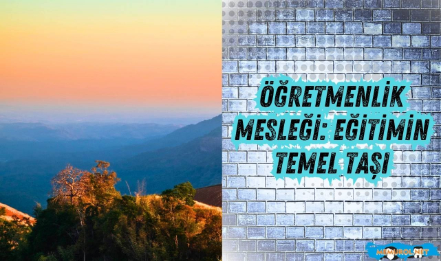Öğretmenlik Mesleği: Eğitimin Temel Taşı #memurol #öğretmenlikmesleği