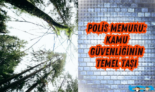 Polis Memuru: Kamu Güvenliğinin Temel Taşı #memurol #polismemuru